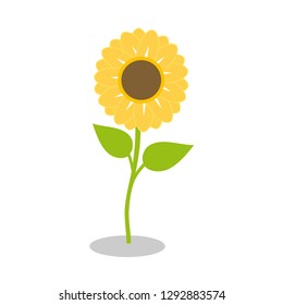 Sunflower is a symbol of confidence, stability, single-minded love. Sunflower with green leaves in flat style isolated on white background. Design by Inkscape.