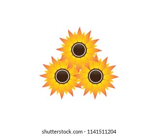 Sunflower symbol illustration
