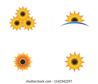 Sunflower symbol illustration