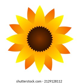 Sunflower symbol isolated on white background, vector illustration