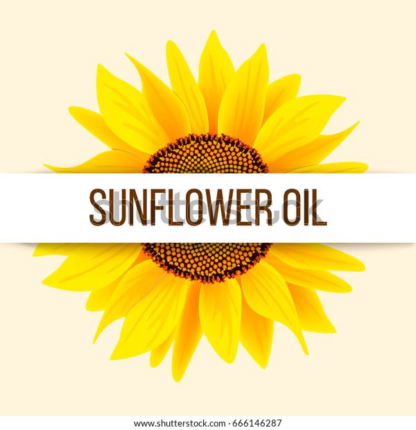 Sunflower Text Stock Vector (Royalty Free) 666146287