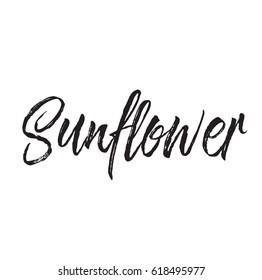 Sunflower Text Design Vector Calligraphy Typography Stock Vector ...