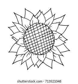Sunflower with thick leaves. Sunflower icon. Vector illustration of sunflower. Hand drawn sunflower.