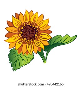sunflower with two leaves and a stem