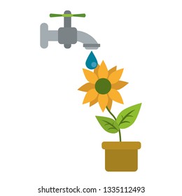 sunflower under water faucet