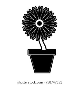 Sunflower in vase icon vector illustration graphic design