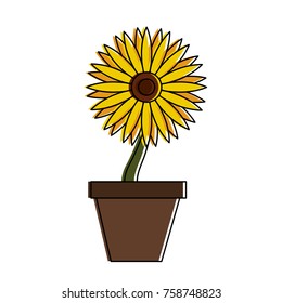 Sunflower in vase icon vector illustration graphic design