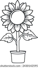 sunflower in a vase without background