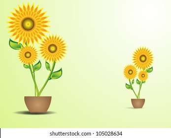 Sunflower vector