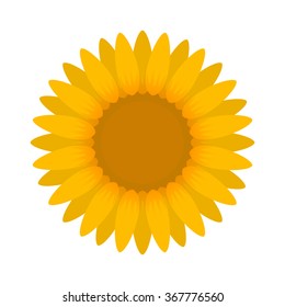 sunflower. Vector sunflower.