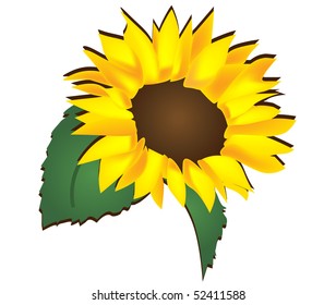 sunflower vector