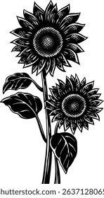 sunflower vector art black and white line art