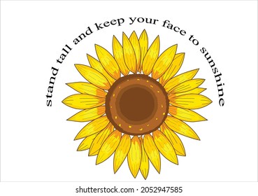 sunflower vector art design hand drawn