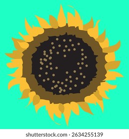 Sunflower vector art file in EPS format.