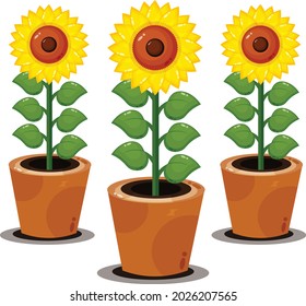 Sunflower vector art and illustration
