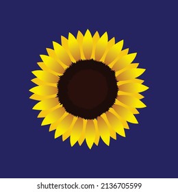 Sunflower vector art work and illustration