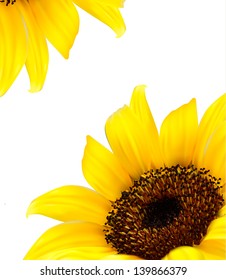 Sunflower vector background/