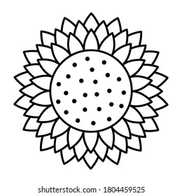 Sunflower vector cartoon icon for print design. Vector illustration flower on white background. Isolated cartoon icon sunflower