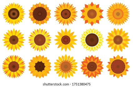 Sunflower vector cartoon set icon. Vector illustration flower on white background. Isolated cartoon set icon sunflower .