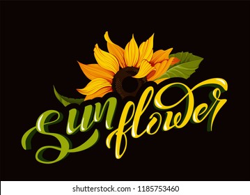 Sunflower vector clip art with hand lettering sign calligraphy flower name yellow autumn botany illustration