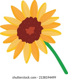 Sonnenblumen-Vektorgrafik Videoclip Art Naturempuls