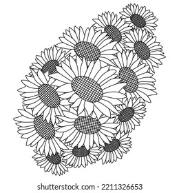 sunflower vector of coloring page doodle pencil line drawing blooming flower. yellow sunflowers easy sketches flower design. black and white anti stress coloring flower for adult. 