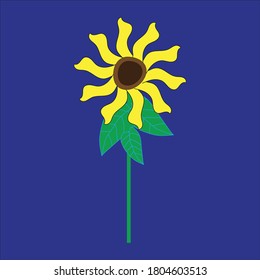Sunflower vector for the creative use 