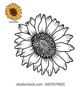 Girasol - Diseño De Vector Para Ilustración De Libro Para Colorear 