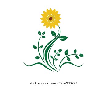Sunflower vector design and illustration.