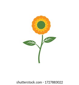 Sunflower vector design illustration template 