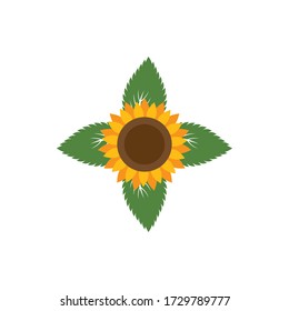 Plantilla de ilustración de vector de girasol 