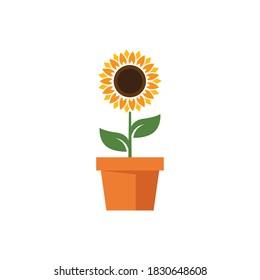 Sunflower vector design illustration template  