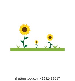 Sunflower vector design illustration template  