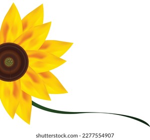 Sunflower Vector design on white background