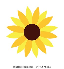 Sunflower, vector flat illustration. Healthy food and vitamins. 