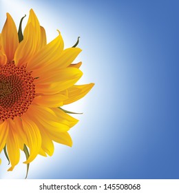 sunflower vector flower blue sky nature illustration yellow summer bright beautiful natural flora