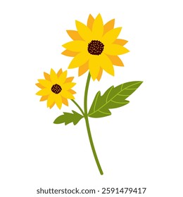 Sunflower vector flower. Yellow cartoon style illustration