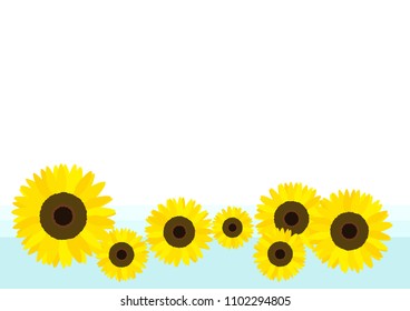 sunflower vector frame
