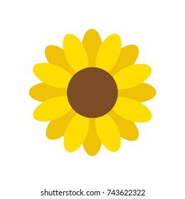 Sunflower vector graphic illustration, sunflower blossom isolated on white background.