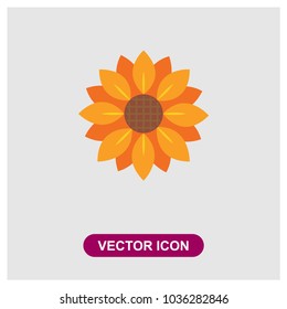 Sunflower Vector Icon