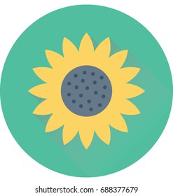 
Sunflower Vector Icon
