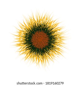 Sunflower vector icon. Dahlia - vector macro image. Sunflower bud - artistic logo design. Flower mandala isolated on white.
