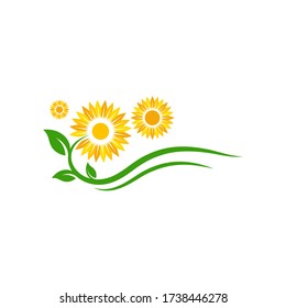 ilustración de diseño de icono de vector de girasol