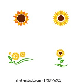 sunflower vector icon design template illustration