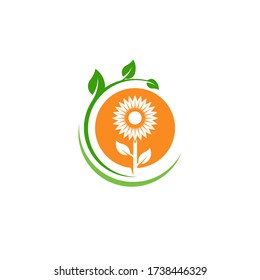 ilustración de diseño de icono de vector de girasol