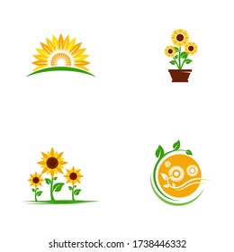 sunflower vector icon design template illustration