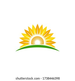sunflower vector icon design template illustration