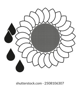 Sunflower vector icon. Seed and petal details. Water droplet symbols. Black and white contrast.