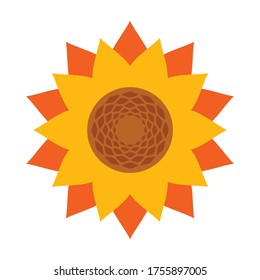 Sunflower vector icon.Cartoon vector icon isolated on white background sunflower.