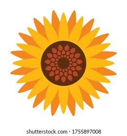 Sunflower vector icon.Cartoon vector icon isolated on white background sunflower.